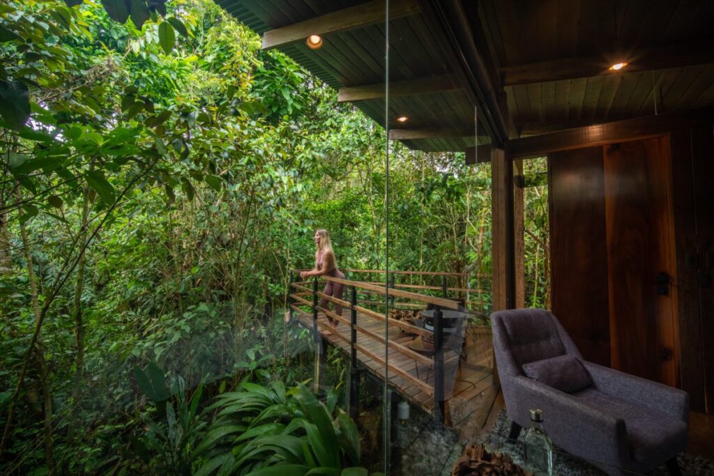 jungle-suite-balcony-view-scaled-pgl8qan3xn3iilvbervpqwqpcukc8e2vtk8tnehav4