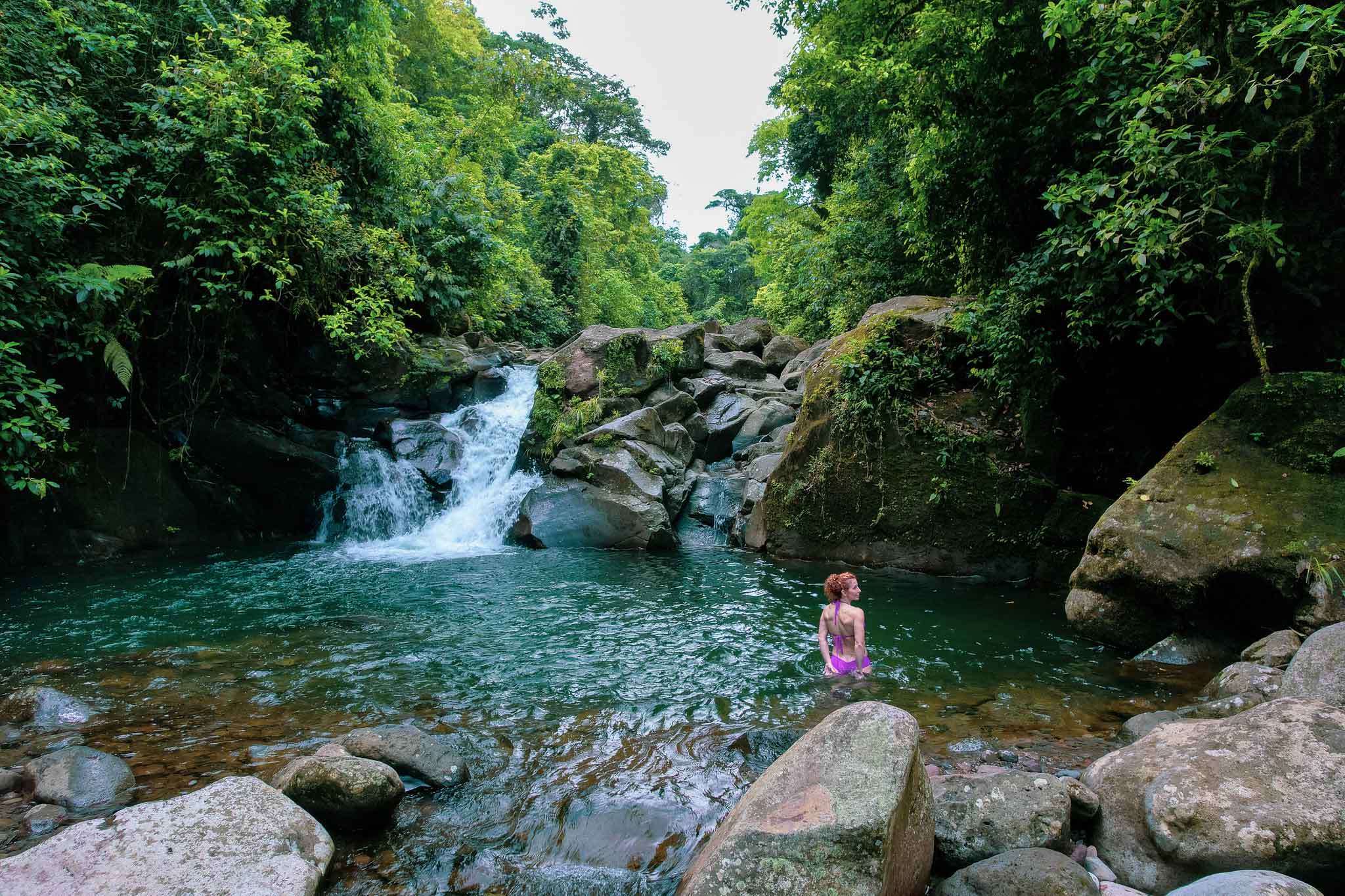 Rainforest hike