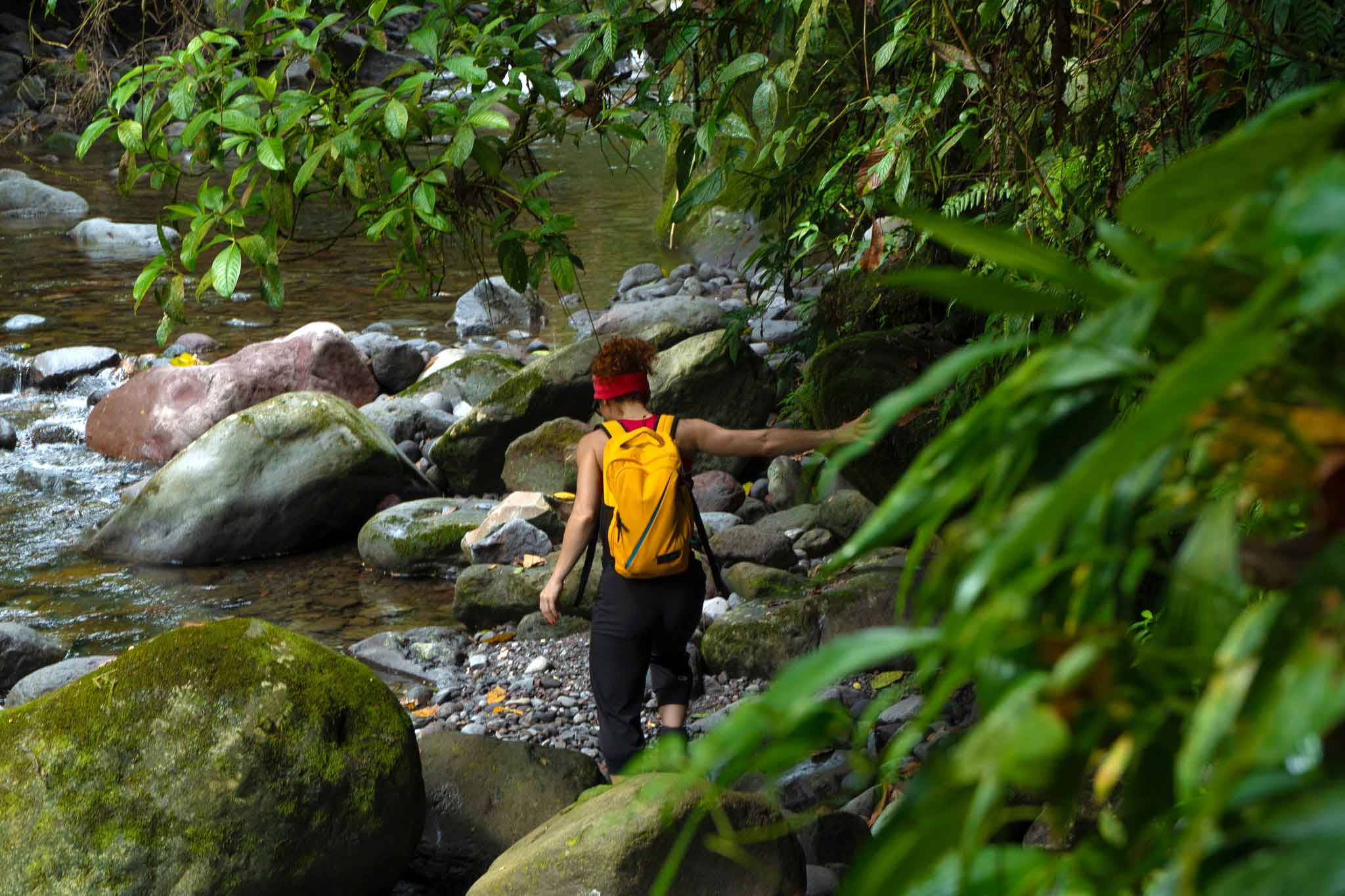 Rainforest hike